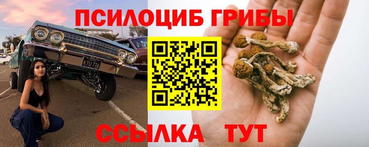 Галлюциногенные грибы мухоморы  Вход с VPN  Псилоцибиновые грибы Magic Shrooms  купить наркоту  Новороссийск 