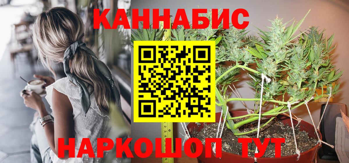 Канабис сатива Новороссийск